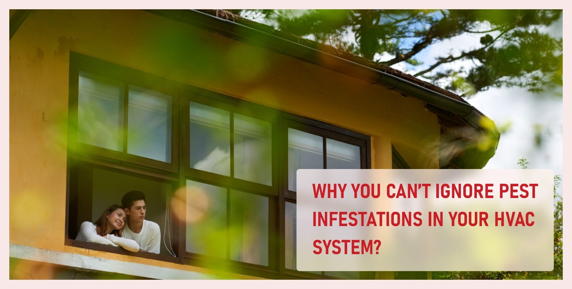 How to Prevent Pest Infestations in HVAC Systems: 4 Best Simple Solutions for GTA Homeowners 3 Risks to Comfort and Health: Why Pest Infestations in Your HVAC System Shouldn’t Be Ignored